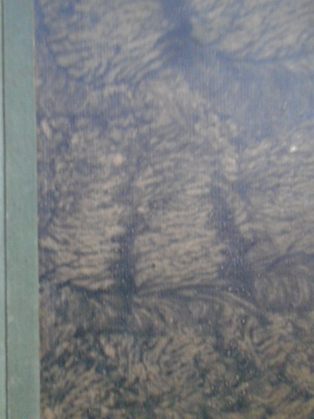 Метеорология, Р. Райнов