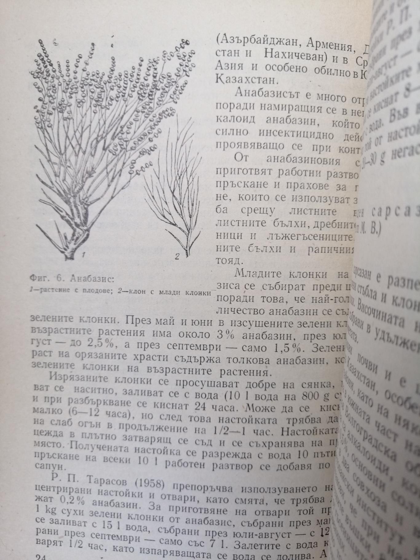 Растения защищават растения , А.Н.Васина