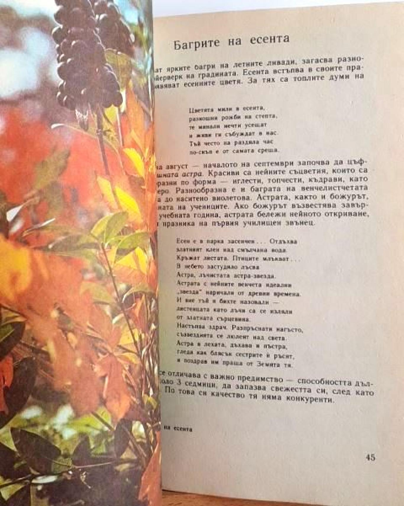 Дъга от цветя - Легенди и аранжиране на цветя , Евгения Черней, Леонила Ширева